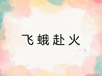 飞蛾赴火
