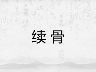 续骨