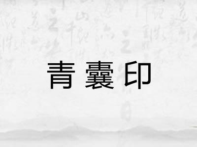 青囊印