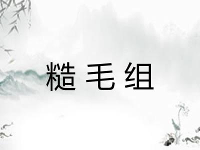 糙毛组
