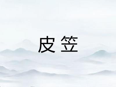 皮笠