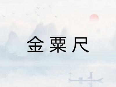 金粟尺