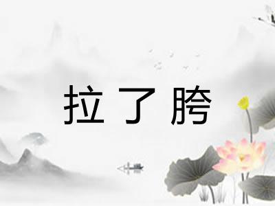 拉了胯