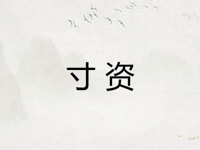 寸资