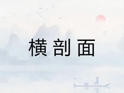 横剖面
