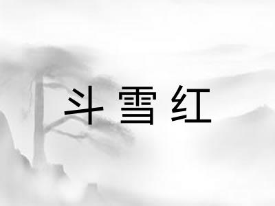 斗雪红