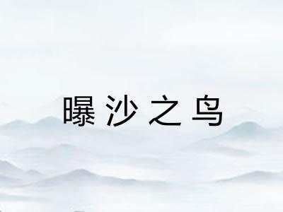 曝沙之鸟