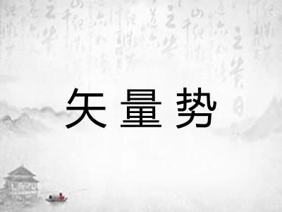 矢量势