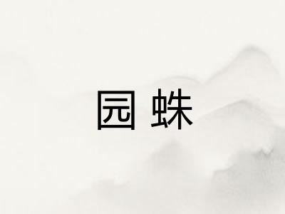 园蛛