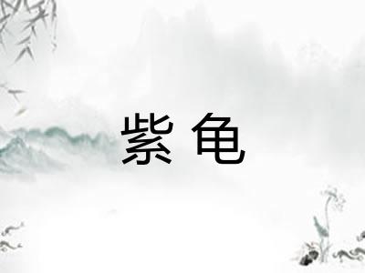紫龟