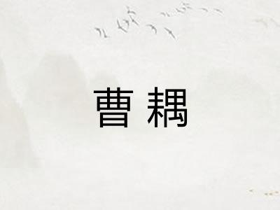 曹耦