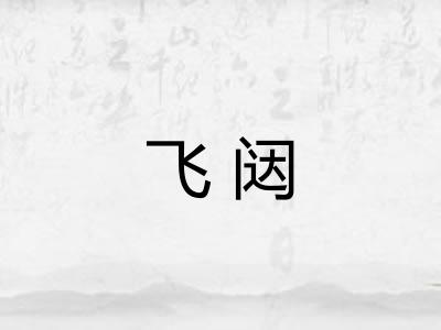 飞闼