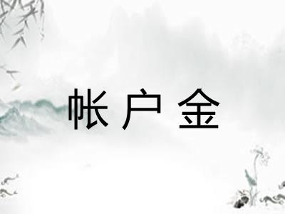 帐户金