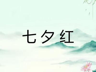 七夕红