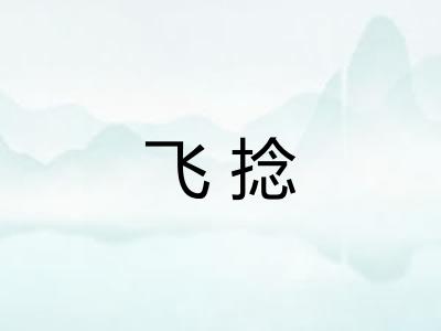 飞捻