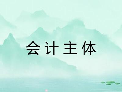 会计主体