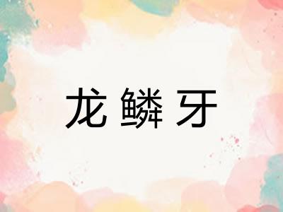 龙鳞牙