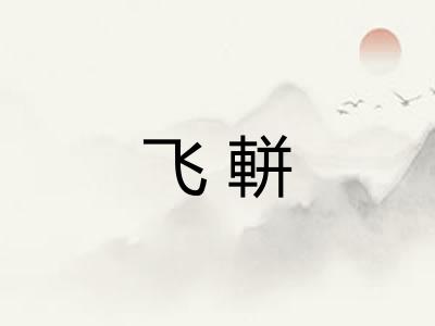 飞軿