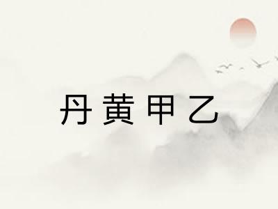 丹黄甲乙