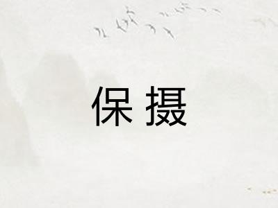 保摄