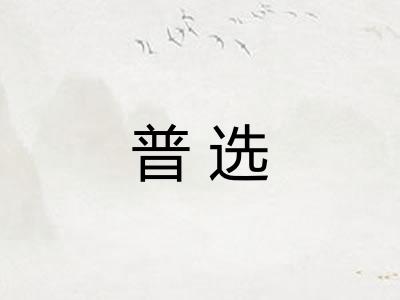 普选