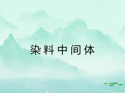 染料中间体
