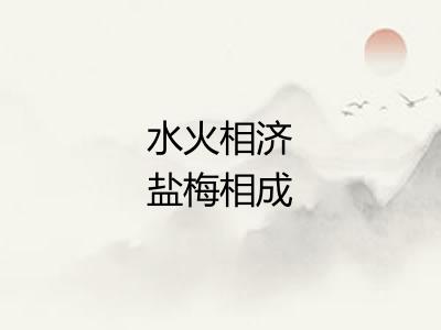 水火相济盐梅相成
