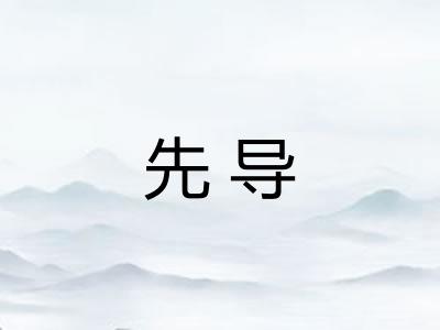 先导