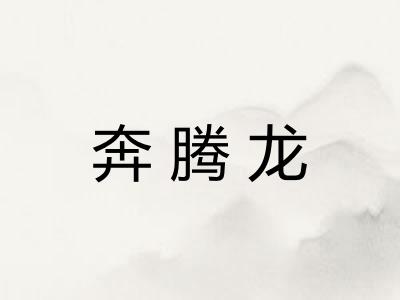 奔腾龙