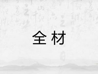 全材