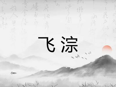 飞淙