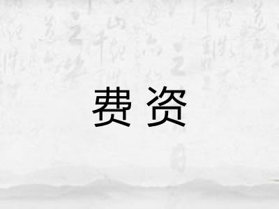 费资