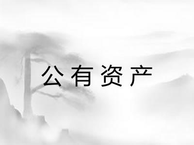 公有资产