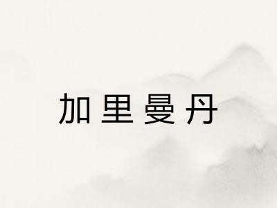 加里曼丹