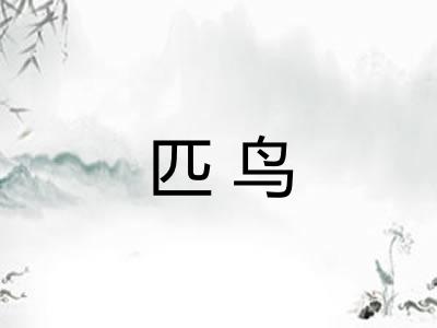 匹鸟