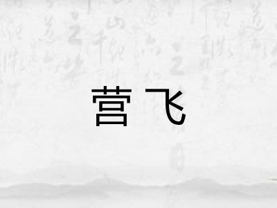 营飞