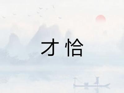 才恰