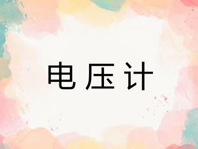 电压计