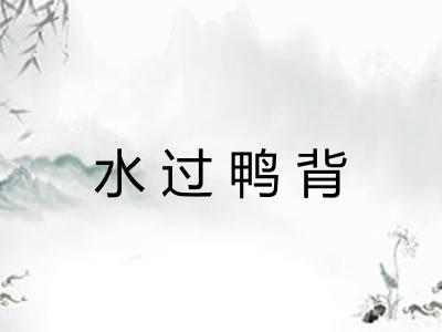 水过鸭背