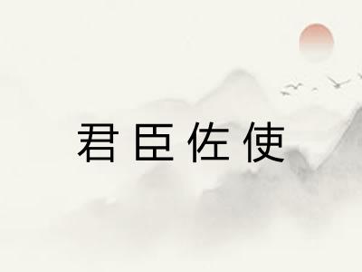君臣佐使