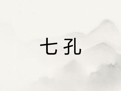 七孔