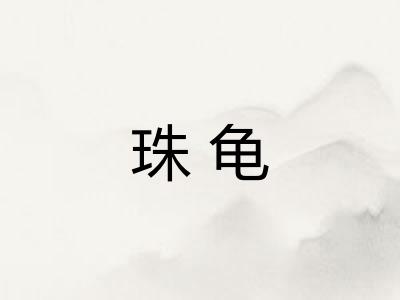 珠龟