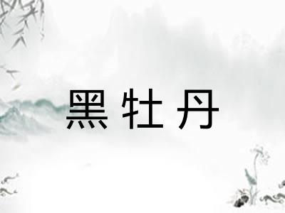 黑牡丹