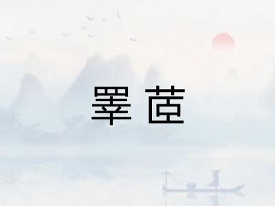 睪茝