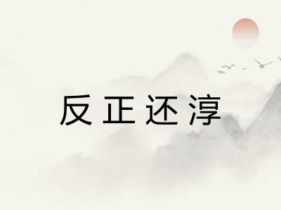 反正还淳
