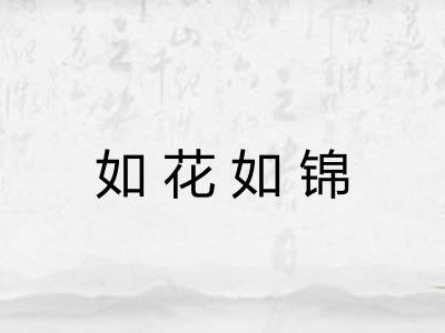 如花如锦