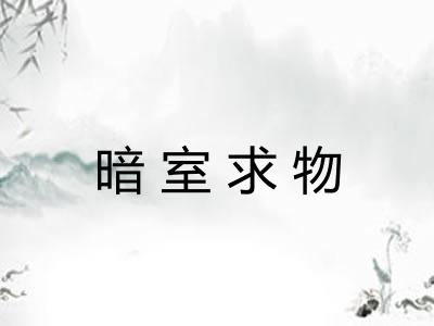 暗室求物