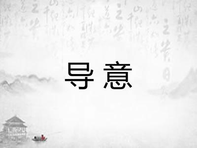 导意