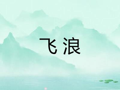 飞浪