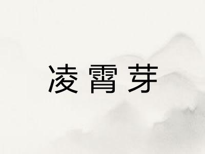 凌霄芽